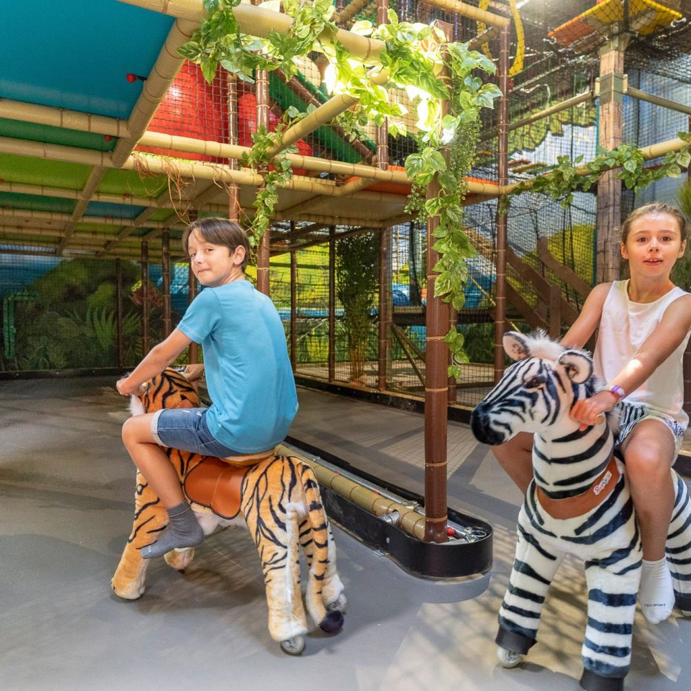 Aire de jeux couverte, PandAventure Park